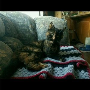 Meet your Posher, Hannah